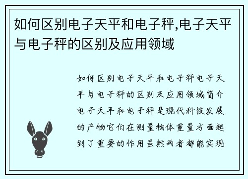 如何区别电子天平和电子秤,电子天平与电子秤的区别及应用领域